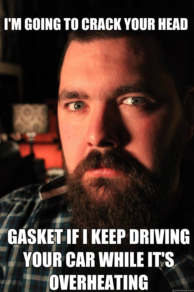 i'm going to crack your head gasket if i keep driving your car while it's overheating - i'm going to crack your head gasket if i keep driving your car while it's overheating  Dating Site Murderer