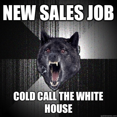 New sales job Cold call the White House  Insanity Wolf