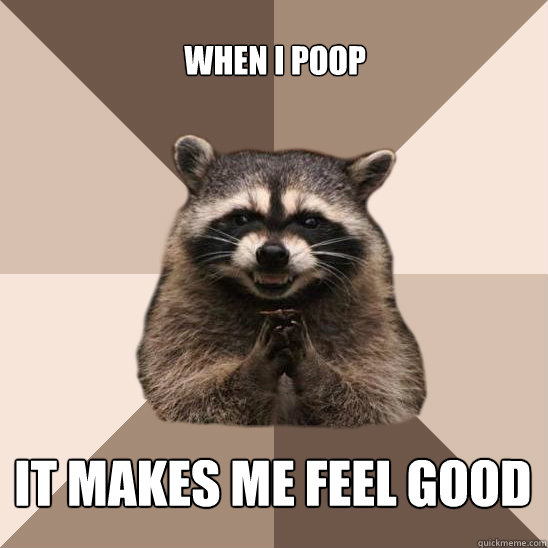 When i poop  it makes me feel good  Evil Plotting Raccoon