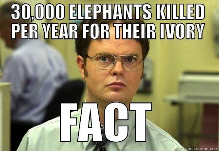 30,000 ELEPHANTS KILLED PER YEAR FOR THEIR IVORY FACT Schrute