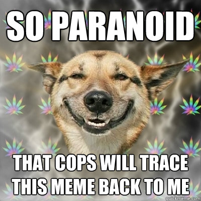 So paranoid that cops will trace this meme back to me  Stoner Dog