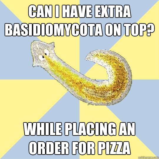 Can i have extra Basidiomycota on top? while placing an order for pizza  Bio Major Planarian