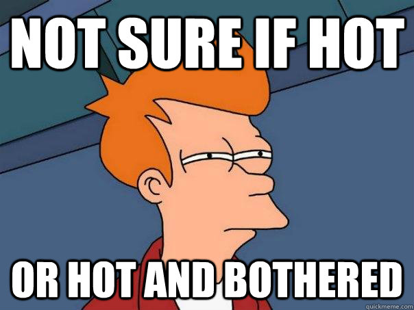 not sure if hot or hot and bothered  - not sure if hot or hot and bothered   Futurama Fry