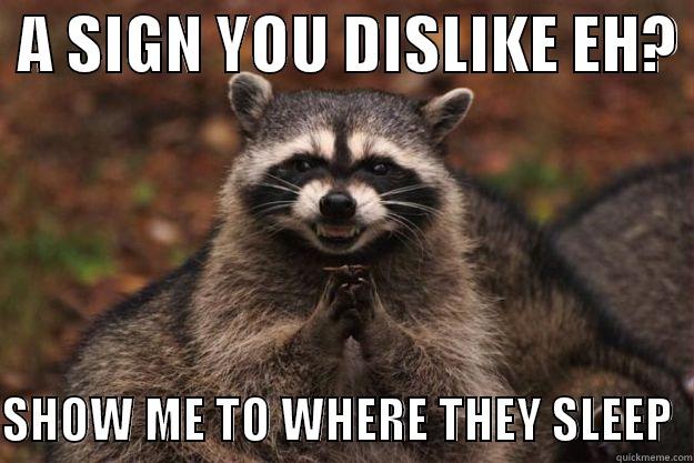  A SIGN YOU DISLIKE EH?   SHOW ME TO WHERE THEY SLEEP  Evil Plotting Raccoon