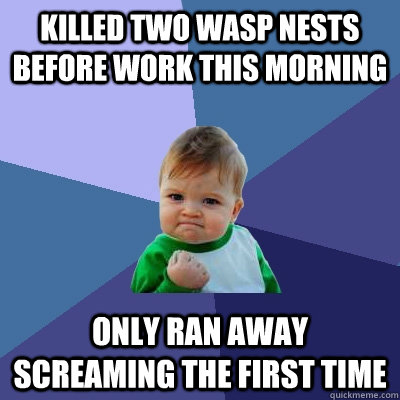 killed two wasp nests before work this morning only ran away screaming the first time  Success Kid