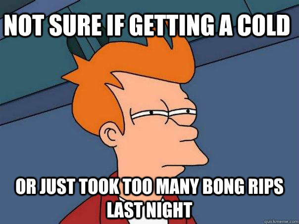 Not sure if getting a cold Or just took too many bong rips last night - Not sure if getting a cold Or just took too many bong rips last night  Futurama Fry