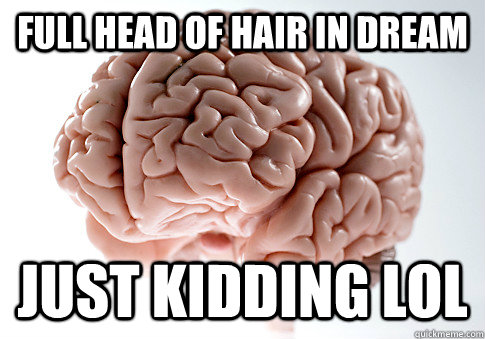 full head of hair in dream just kidding lol - full head of hair in dream just kidding lol  ScumbagBrain