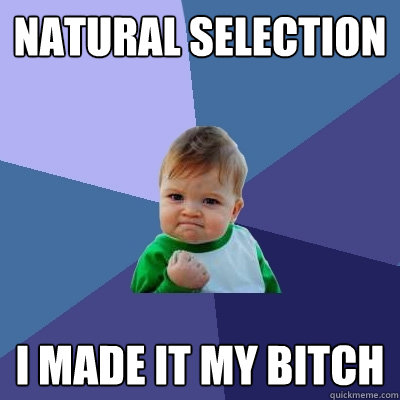 Natural Selection I made it my bitch - Natural Selection I made it my bitch  Success Kid