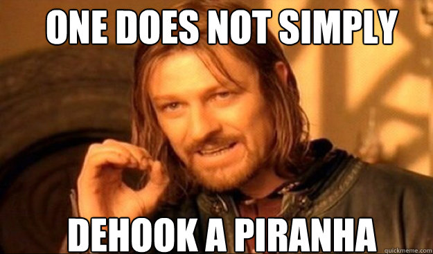 ONE DOES NOT SIMPLY DEHOOK A PIRANHA  - ONE DOES NOT SIMPLY DEHOOK A PIRANHA   Boromir - test