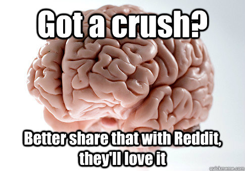 Got a crush? Better share that with Reddit, they'll love it   Scumbag Brain