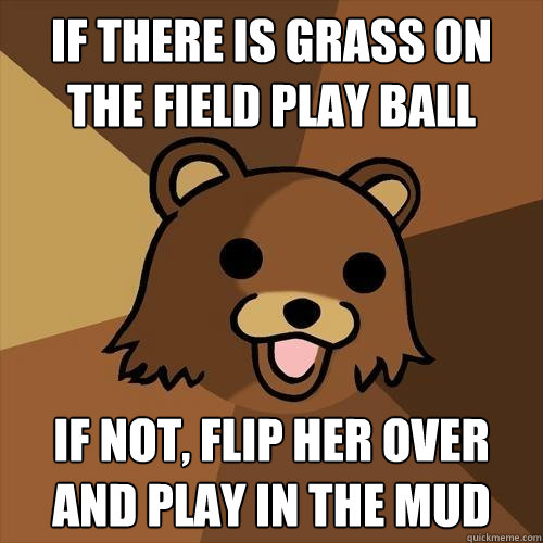 If there is grass on the field play ball if not, flip her over and play in the mud  Pedobear