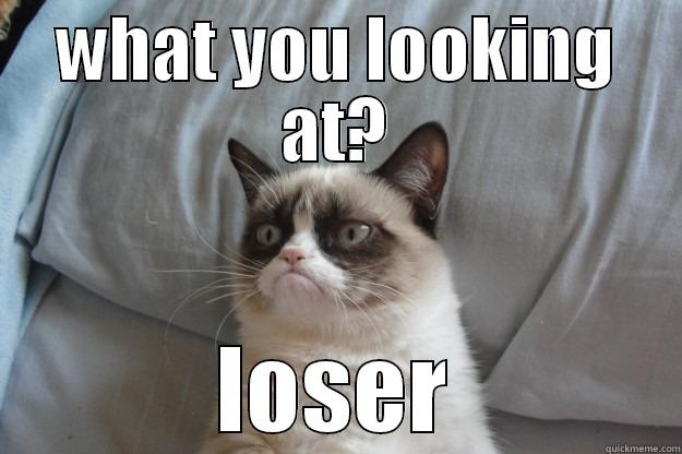 WHAT YOU LOOKING AT? LOSER Grumpy Cat