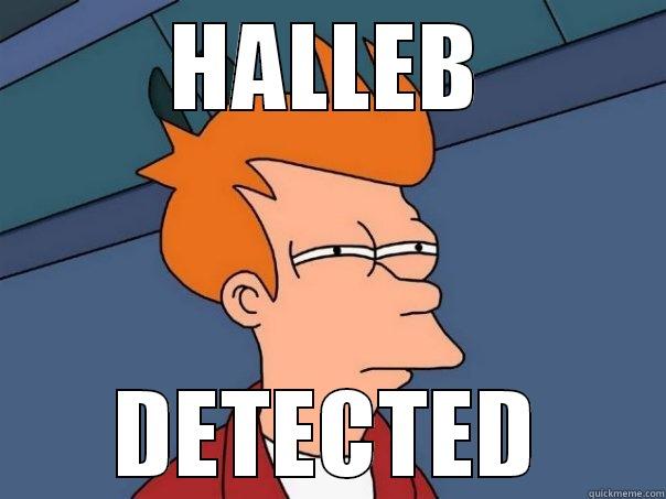 HALLEB DETECTED Futurama Fry