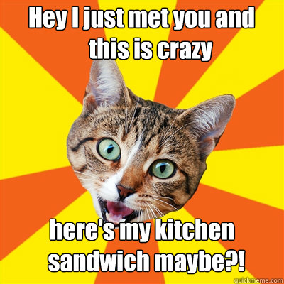 Hey I just met you and
    this is crazy here's my kitchen
  sandwich maybe?!  Bad Advice Cat