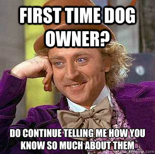 First time dog owner? Do continue telling me how you know so much about them  Condescending Wonka