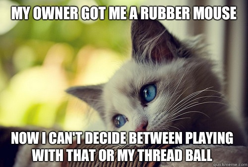 my owner got me a rubber mouse Now I can't decide between playing with that or my thread ball  First World Problems Cat