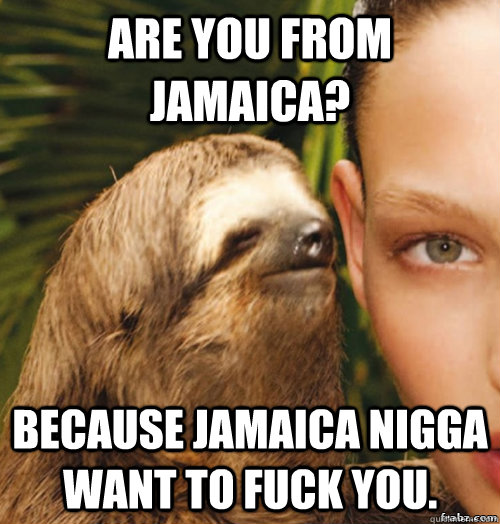 Are you from Jamaica? because Jamaica nigga want to fuck you.  rape sloth