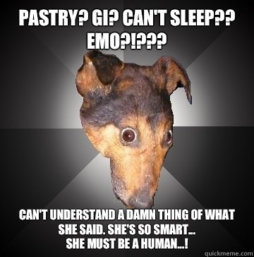 Pastry? GI? Can't sleep?? Emo?!??? Can't understand a damn thing of what she said. She's so smart...
She must be a human...! - Pastry? GI? Can't sleep?? Emo?!??? Can't understand a damn thing of what she said. She's so smart...
She must be a human...!  Depression Dog