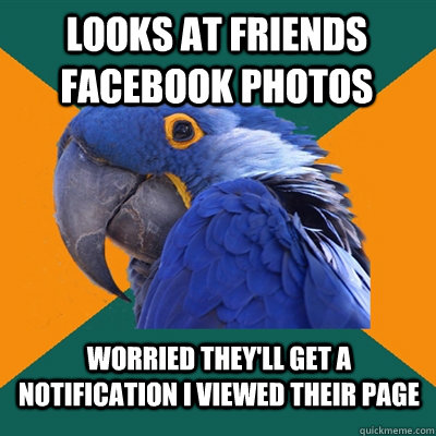 Looks at friends Facebook photos worried they'll get a notification I viewed their page  Paranoid Parrot