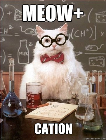 Meow+ Cation - Meow+ Cation  Chemistry Cat