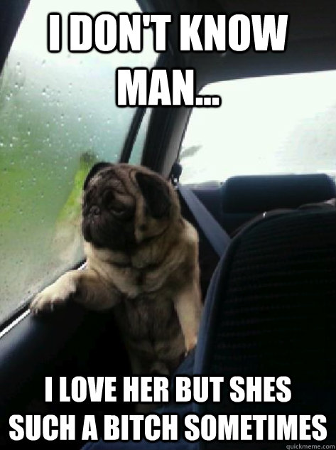 I don't know man... I love her but shes such a bitch sometimes  Introspective Pug