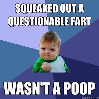 squeaked out a questionable fart  Wasn't a poop  Success Kid