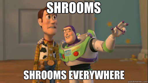 Shrooms Shrooms everywhere - Shrooms Shrooms everywhere  Everywhere