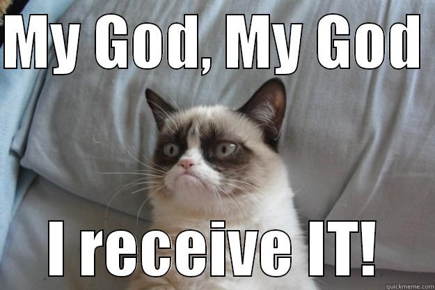 Preach Pastor - MY GOD, MY GOD  I RECEIVE IT! Grumpy Cat