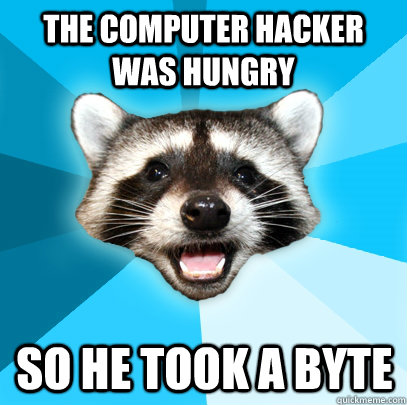 the computer hacker was hungry So He took a byte  Lame Pun Coon