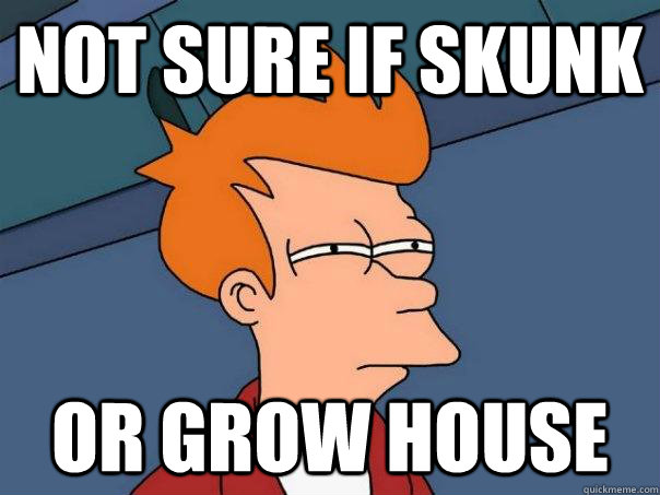 Not sure if skunk or grow house  Futurama Fry