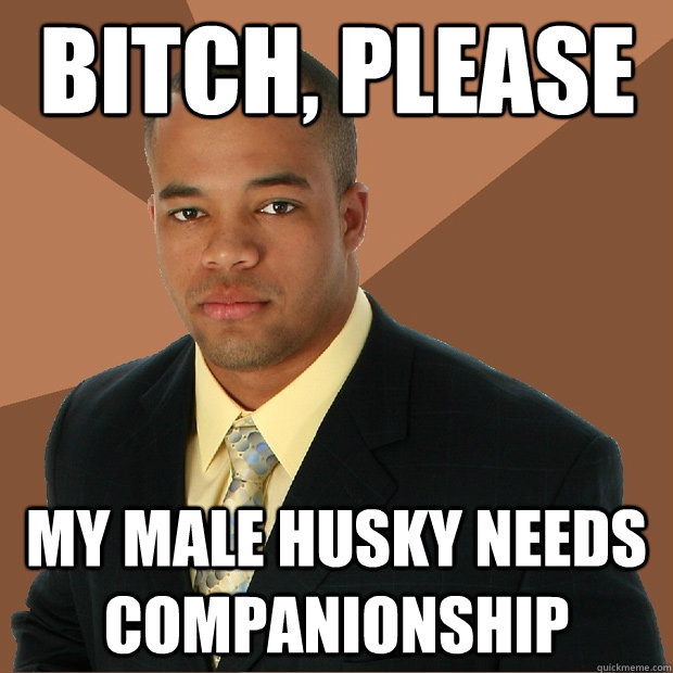 Bitch, please my male husky needs companionship  Successful Black Man