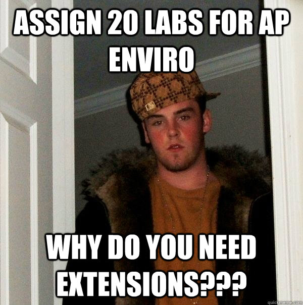 Assign 20 labs for ap enviro Why do you need extensions???  Scumbag Steve