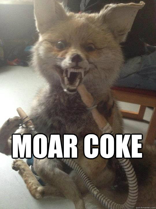  MOAR COKE  Taxidermy fox