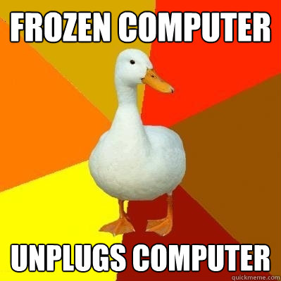 Frozen computer Unplugs computer  Tech Impaired Duck