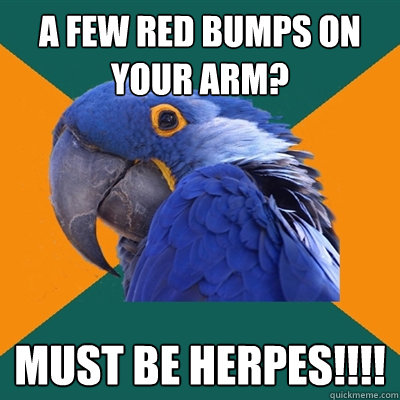 a few red bumps on your arm? Must be herpes!!!! - a few red bumps on your arm? Must be herpes!!!!  Paranoid Parrot