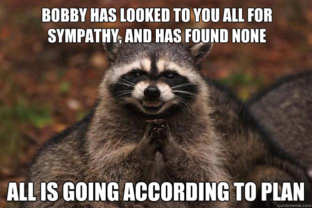 Bobby has looked to you all for sympathy, and has found none all is going according to plan  Evil Plotting Raccoon