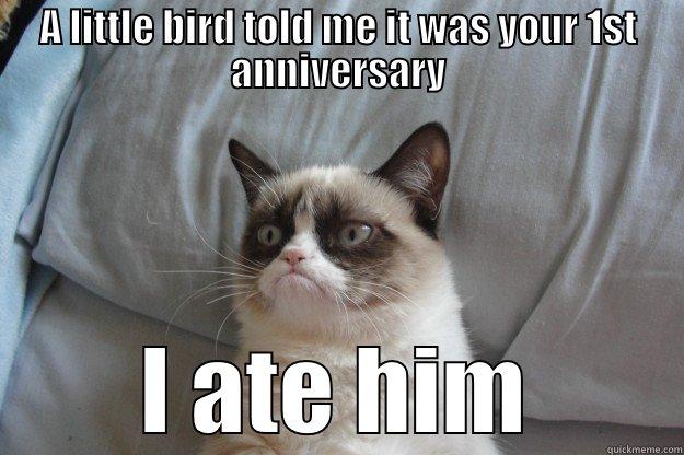 Grumpy anniversary - A LITTLE BIRD TOLD ME IT WAS YOUR 1ST ANNIVERSARY I ATE HIM Grumpy Cat