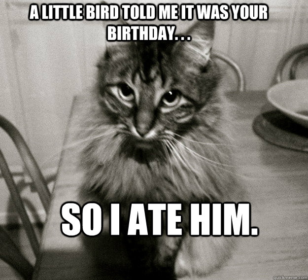 A little bird told me it was your birthday. . . so i ate him.  - A little bird told me it was your birthday. . . so i ate him.   Misc