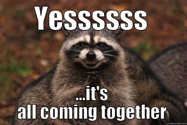 YESSSSSS ...IT'S ALL COMING TOGETHER Evil Plotting Raccoon