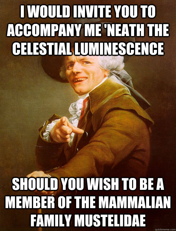 I would invite you to accompany me 'neath the celestial luminescence should you wish to be a member of the mammalian family mustelidae  Joseph Ducreux