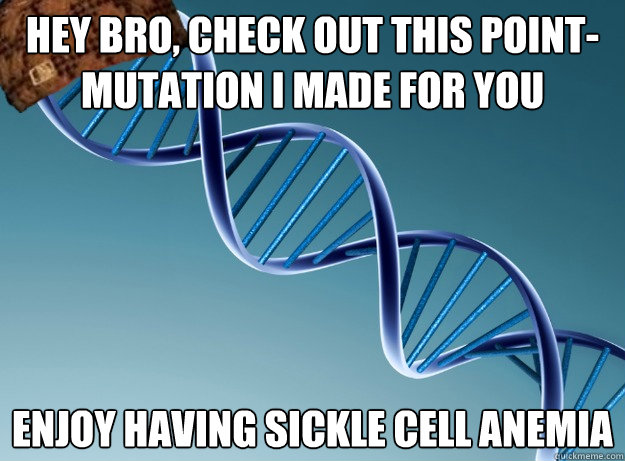 hey bro, check out this point-mutation i made for you enjoy having sickle cell anemia - hey bro, check out this point-mutation i made for you enjoy having sickle cell anemia  Scumbag Genetics