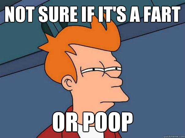 Not sure if it's a fart  Or poop - Not sure if it's a fart  Or poop  Futurama Fry