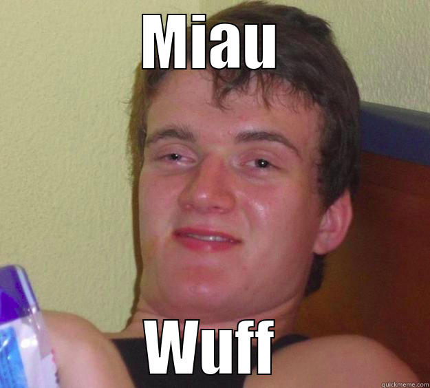 MIAU WUFF 10 Guy