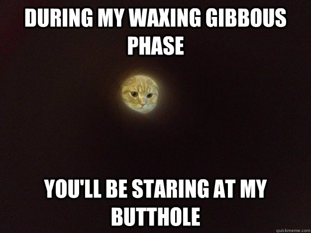 During my waxing gibbous phase You'll be staring at my butthole - During my waxing gibbous phase You'll be staring at my butthole  Misc