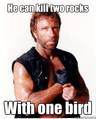 He can kill two rocks With one bird  Chuck Norris