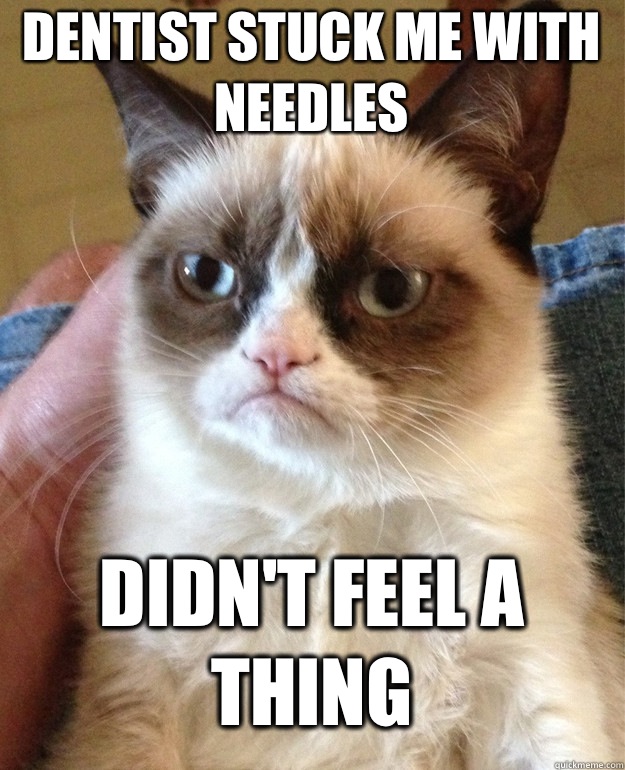 dentist stuck me with needles DIDN'T FEEL A THING  Grumpy Cat