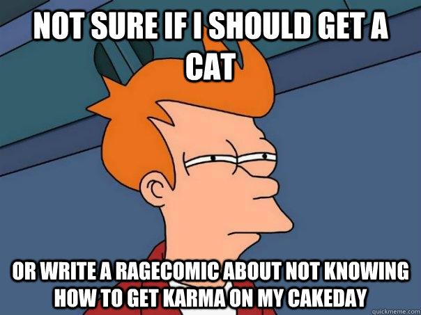 Not sure if i should get a cat or write a ragecomic about not knowing how to get karma on my cakeday  Futurama Fry