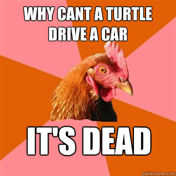 Why cant a turtle drive a car It's dead  Anti-Joke Chicken