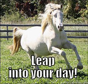  LEAP INTO YOUR DAY! Misc