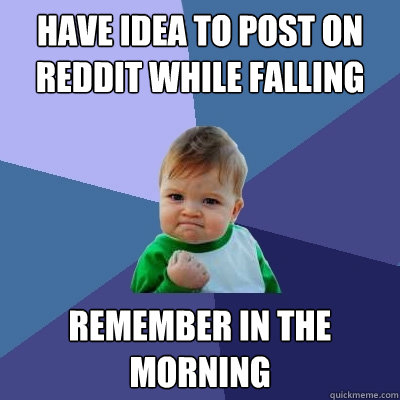 Have idea to post on reddit while falling asleep remember in the morning  Success Kid